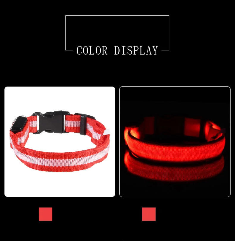 Laisse LED Clignotante Luxe pour Chien – Sécurité Nocturne & Lueur dans le Noir