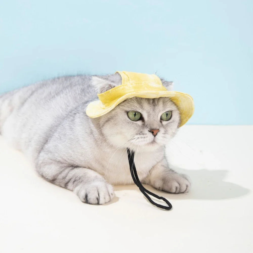 Chapeau d'Été pour Chien & Chat | Casquette Réglable Anti-UV avec Trous d'Oreille