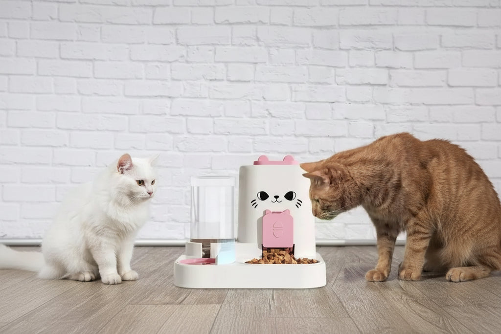 🐱🐶 Mangeoire Automatique pour Chat & Chien – Fontaine à Eau & Distributeur de Nourriture