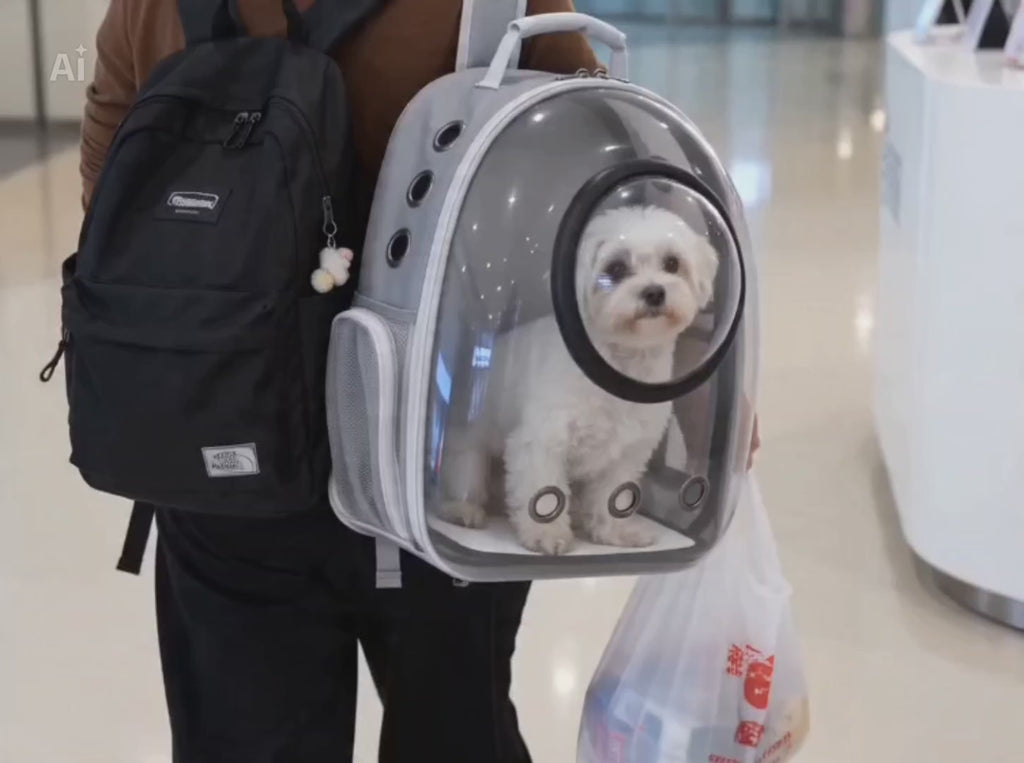 Sac à Dos Capsule Spatiale pour Animaux – Transparent & Respirant