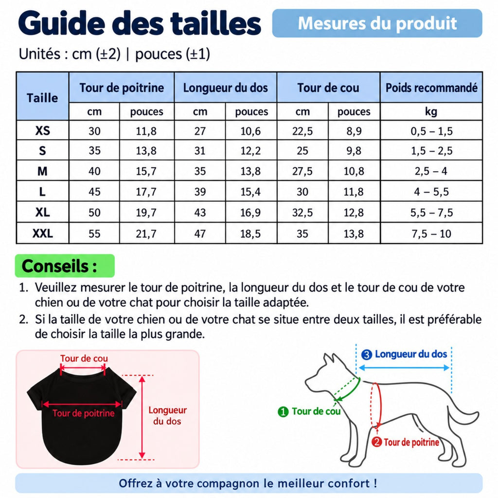 Robe de Sorcière Halloween pour Chien & Chat – Orange + Chapeau