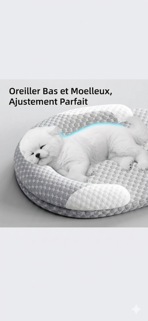 Coussin Rafraîchissant pour Chien & Chat – Tapis Été en Soie Glacée, Toutes Tailles