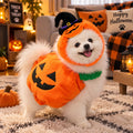 Costume Citrouille Halloween pour Chien & Chat – Veste + Chapeau
