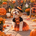 Robe de Sorcière Halloween pour Chien & Chat – Orange + Chapeau