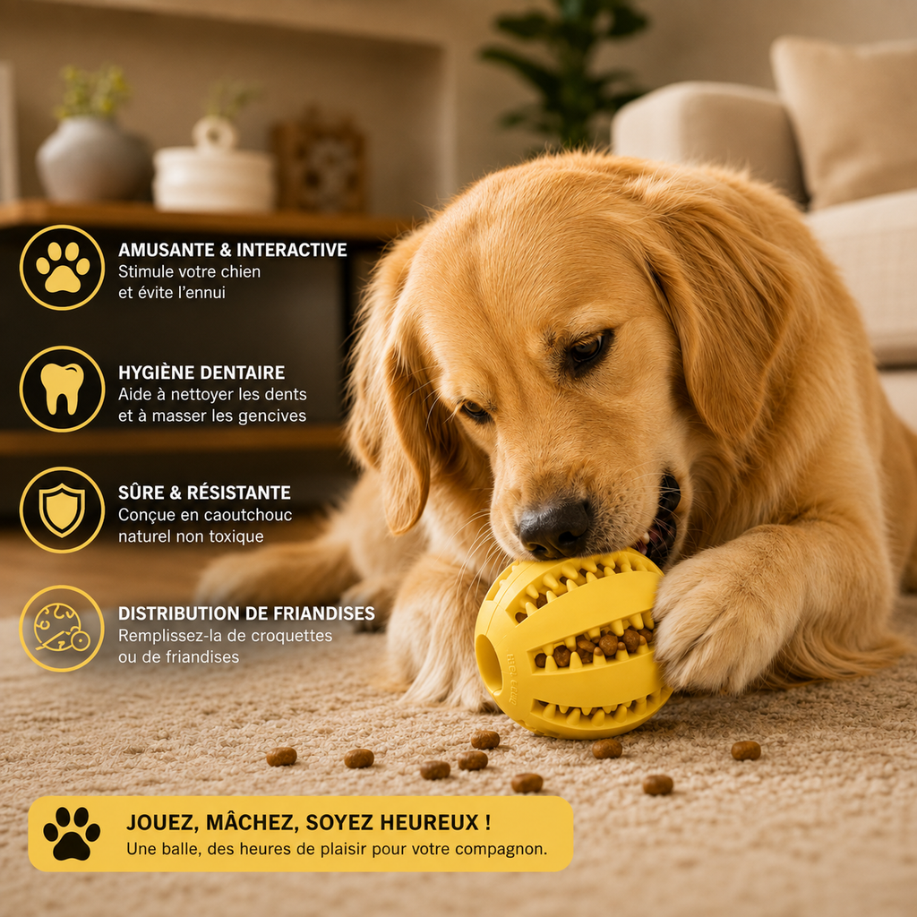 Balle Interactive pour Chien & Chat – Distributeur de Friandises & Nettoyage des Dents