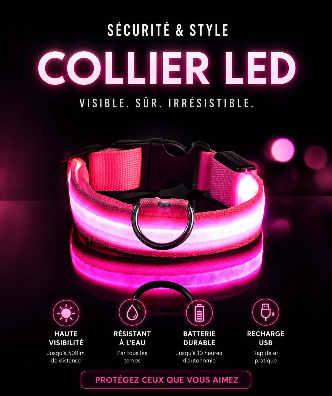 Laisse LED Clignotante Luxe pour Chien – Sécurité Nocturne & Lueur dans le Noir